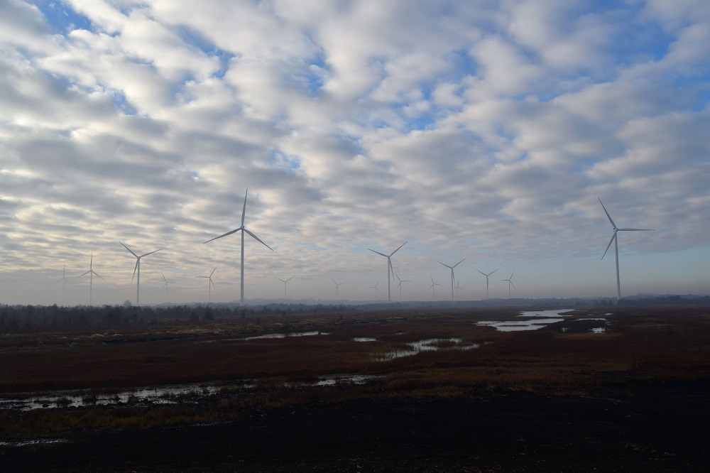 The Wind Farm section